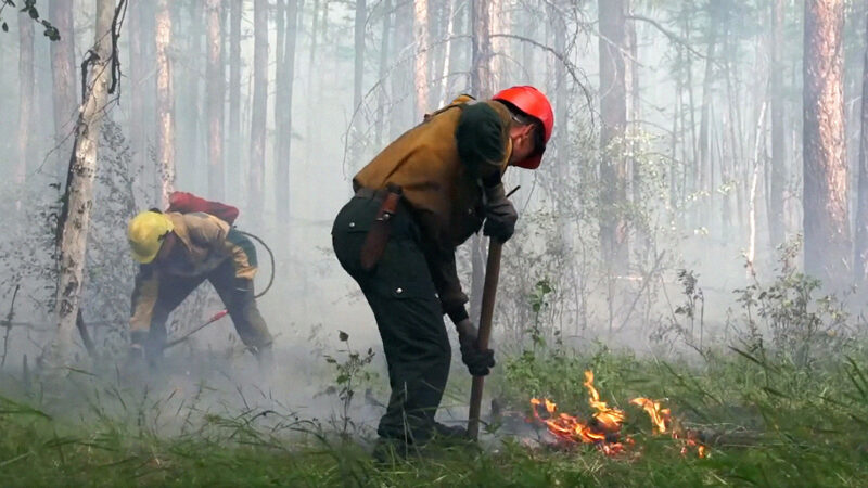О привлечении граждан к тушению природных (лесных) пожаров